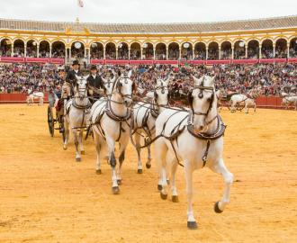 Más de un centenar de coches de caballo se darán cita en Sevilla el 14 y 15 de abril