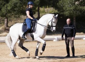 Cambio en la dirección del Programa de Desarrollo Deportivo de Doma Clásica de ANCCE (PDD)