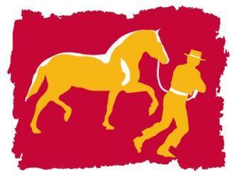 Las jornadas de formación de jueces en prácticas de Morfología siguen durante el Estado de Alarma de manera virtual