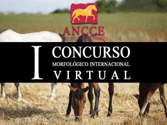 Éxito en el I Concurso Morfológico Internacional Virtual ANCCE