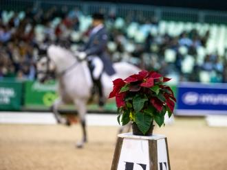 Actualización Bases Copa ANCCE 2020