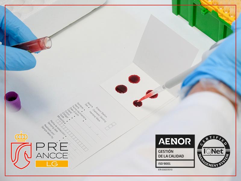 ANCCE | El Libro Genealógico y el Laboratorio de Genética Molecular del PRE renuevan un año más la certificación de calidad