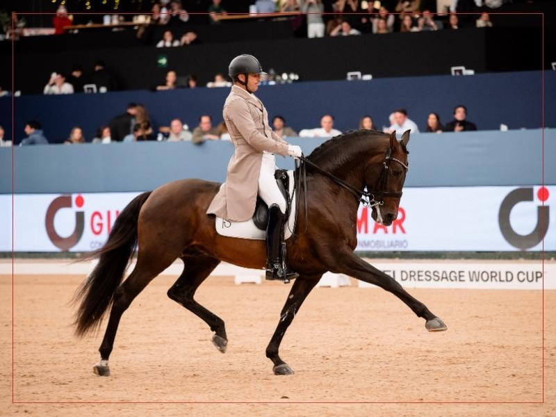 ANCCE | Martín Dockx con Malagueño LXXXIII, triunfo histórico en el CDIW de Madrid Horse Week 2023